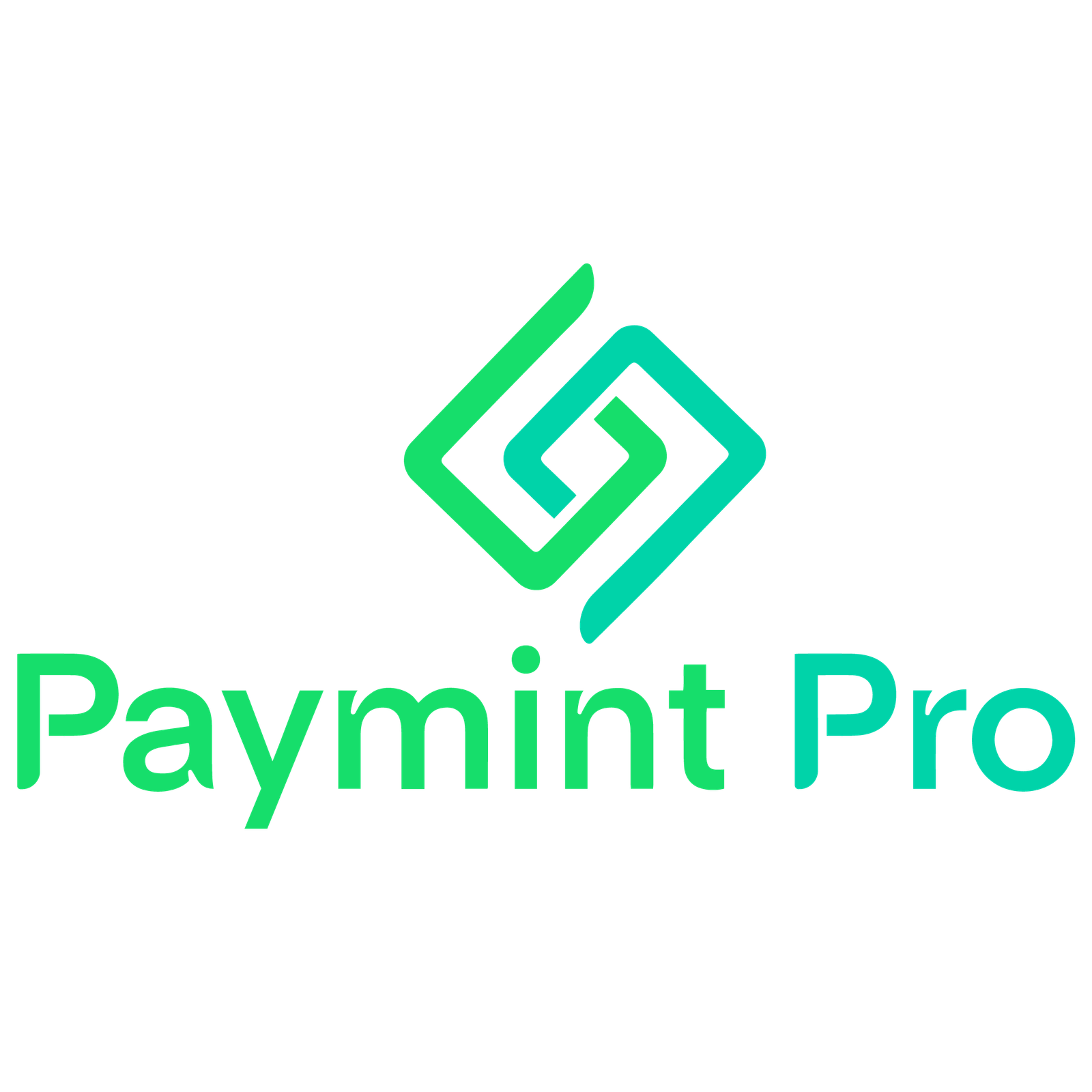 Paymint Pro